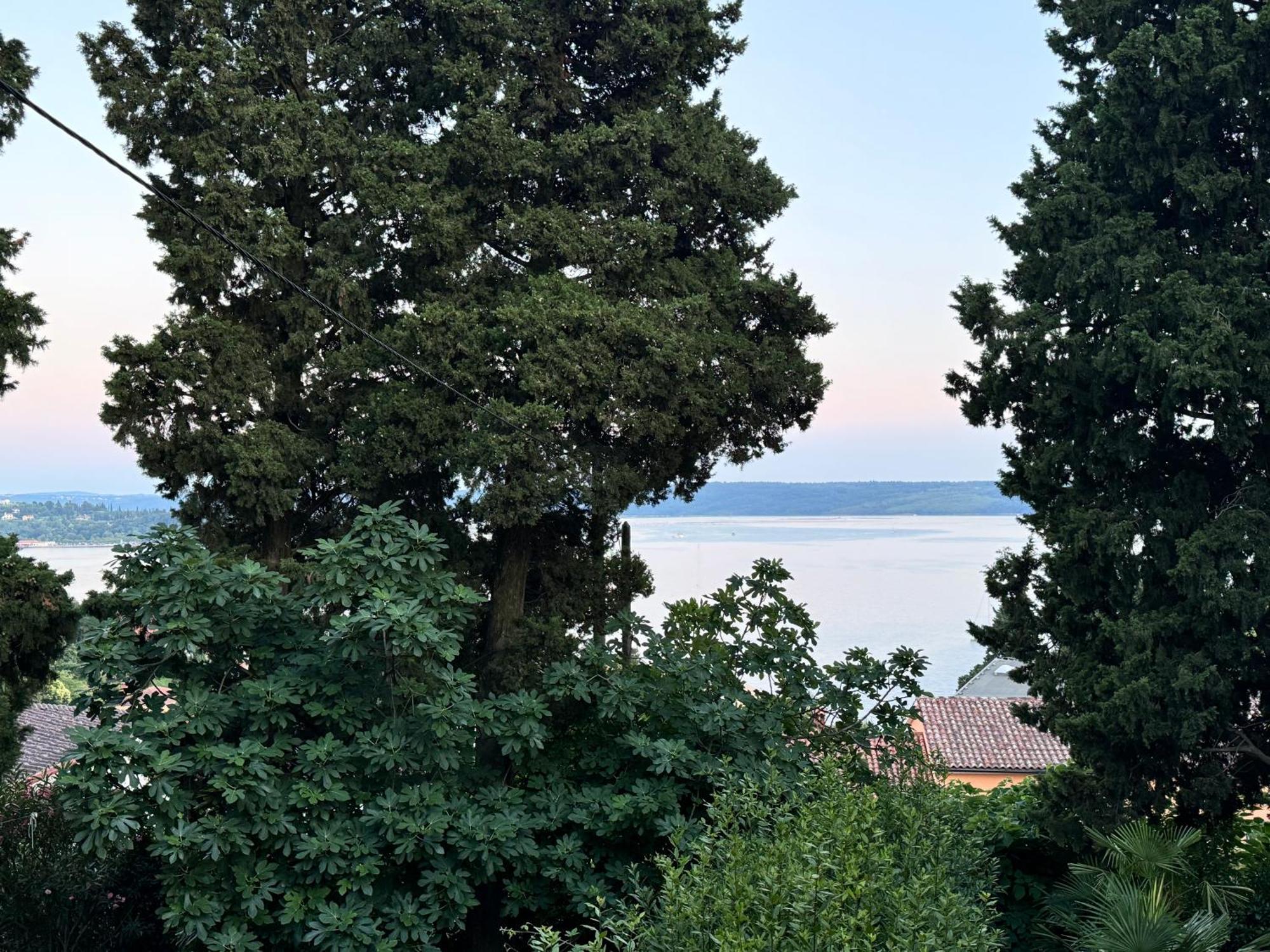 Marinaio Apartment Portoroz Luaran gambar